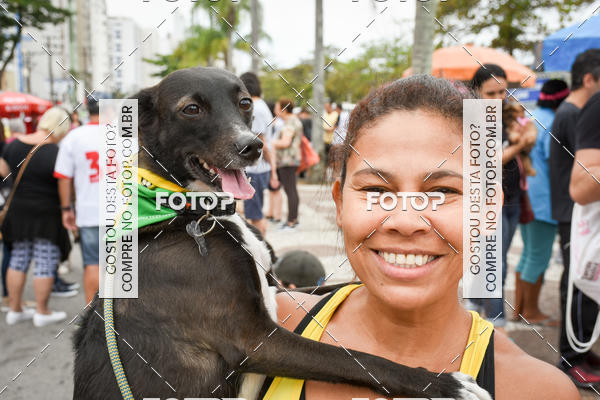 Buy your photos of the event13� C�ominhada - Santos on Fotop
