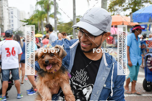 Buy your photos of the event13� C�ominhada - Santos on Fotop