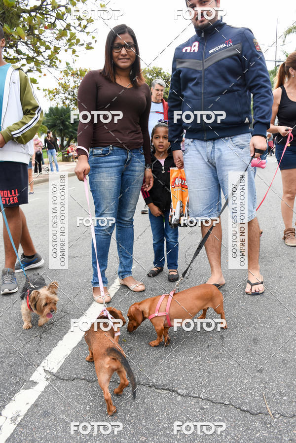 Buy your photos of the event13� C�ominhada - Santos on Fotop