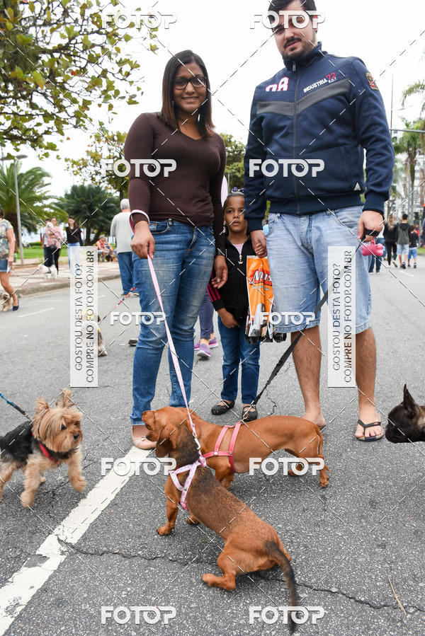 Buy your photos of the event13� C�ominhada - Santos on Fotop