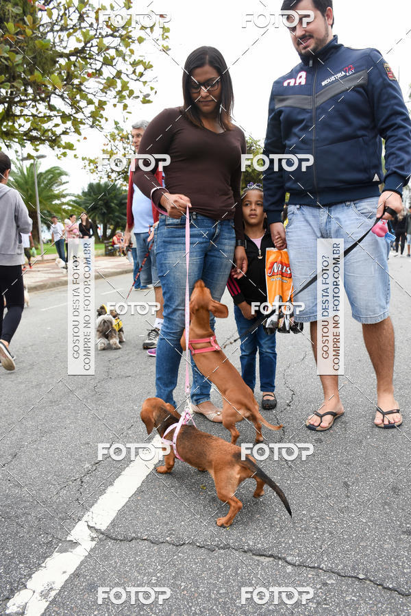 Buy your photos of the event13� C�ominhada - Santos on Fotop