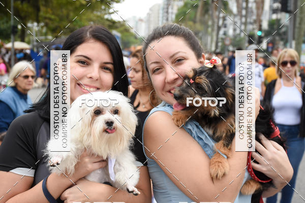 Buy your photos of the event13� C�ominhada - Santos on Fotop