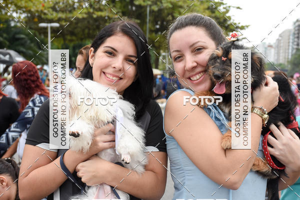 Buy your photos of the event13� C�ominhada - Santos on Fotop