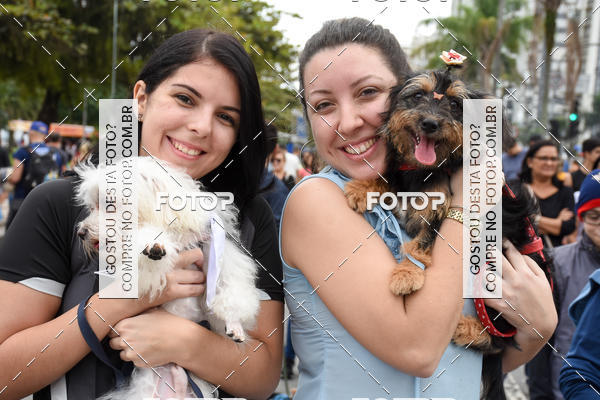 Buy your photos of the event13� C�ominhada - Santos on Fotop