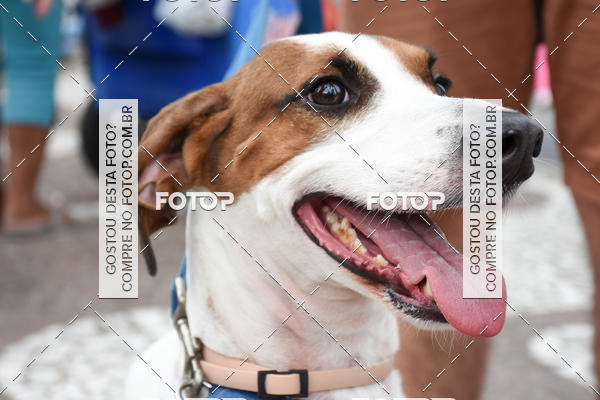 Buy your photos of the event13� C�ominhada - Santos on Fotop