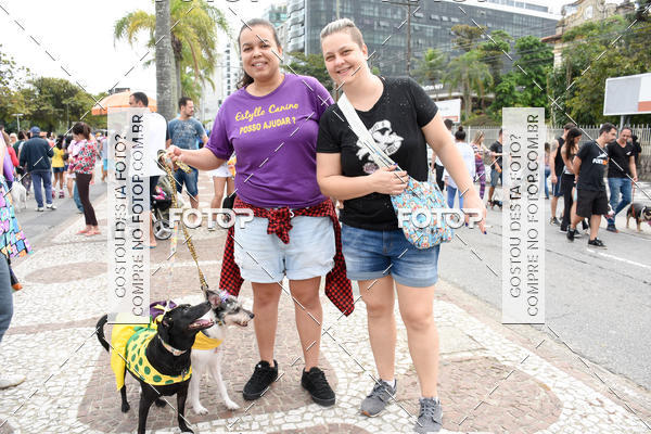 Buy your photos of the event13� C�ominhada - Santos on Fotop