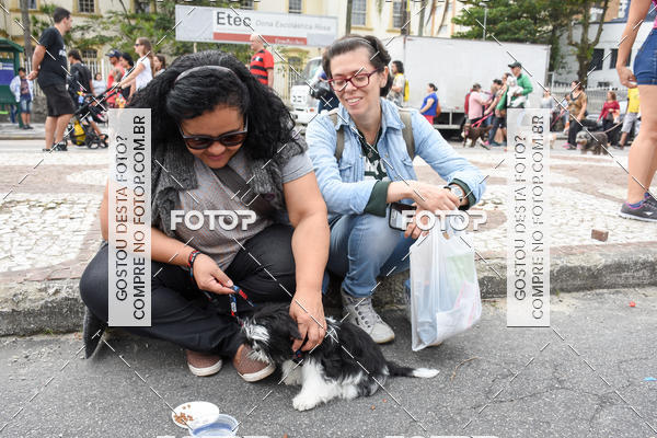 Buy your photos of the event13� C�ominhada - Santos on Fotop