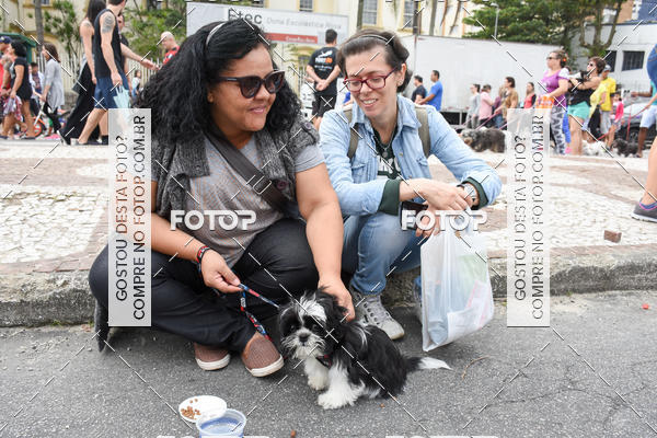 Buy your photos of the event13� C�ominhada - Santos on Fotop