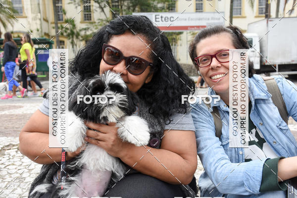 Buy your photos of the event13� C�ominhada - Santos on Fotop