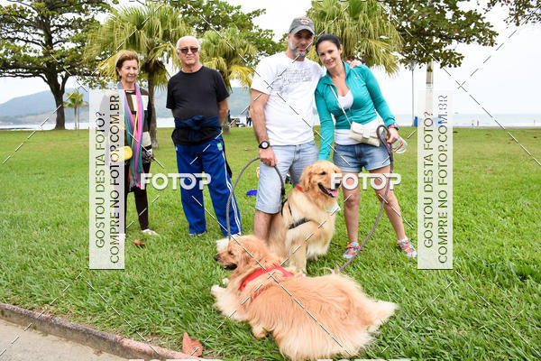 Buy your photos of the event13� C�ominhada - Santos on Fotop