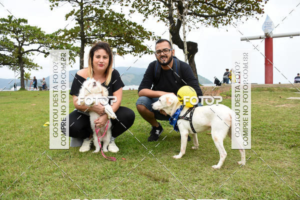 Buy your photos of the event13� C�ominhada - Santos on Fotop