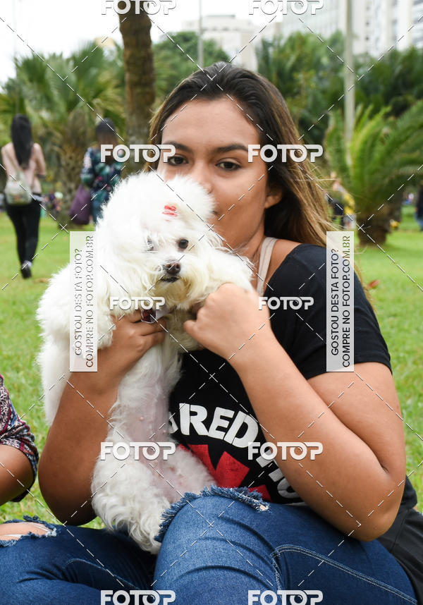 Buy your photos of the event13� C�ominhada - Santos on Fotop