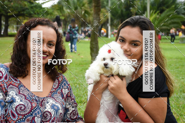 Buy your photos of the event13� C�ominhada - Santos on Fotop