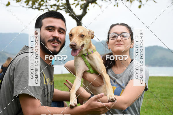 Buy your photos of the event13� C�ominhada - Santos on Fotop