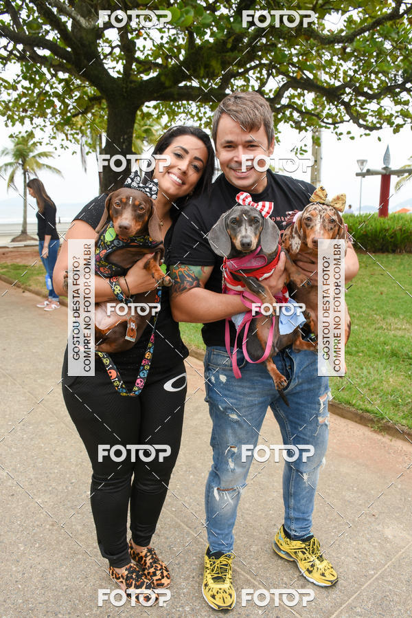 Buy your photos of the event13� C�ominhada - Santos on Fotop