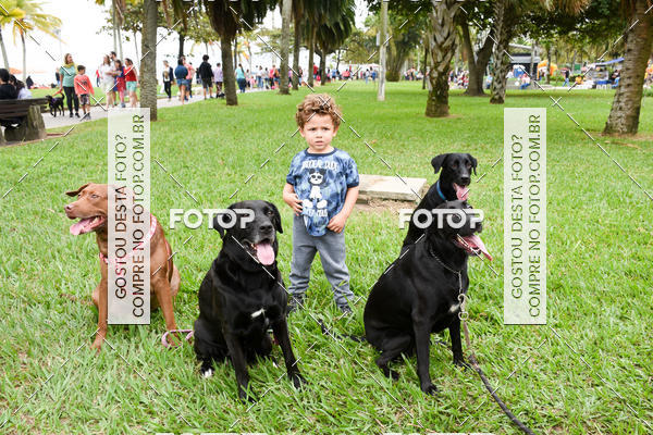 Buy your photos of the event13� C�ominhada - Santos on Fotop