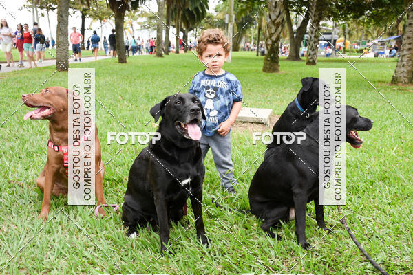 Buy your photos of the event13� C�ominhada - Santos on Fotop