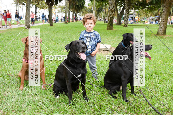 Buy your photos of the event13� C�ominhada - Santos on Fotop