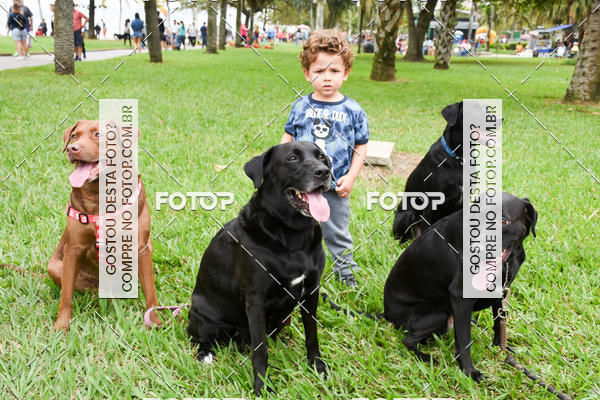 Buy your photos of the event13� C�ominhada - Santos on Fotop