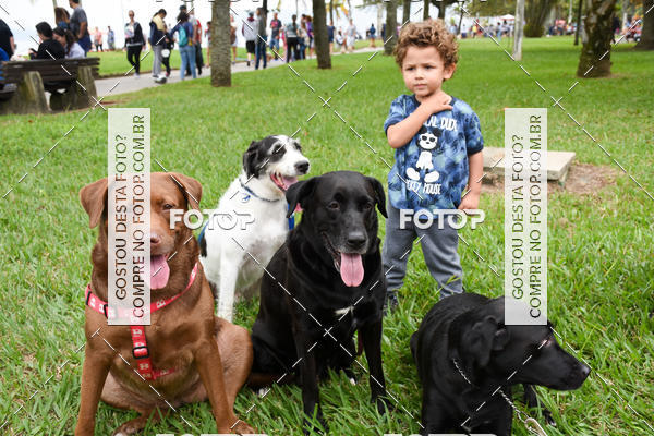 Buy your photos of the event13� C�ominhada - Santos on Fotop