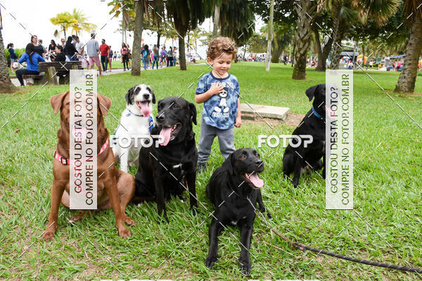 Buy your photos of the event13� C�ominhada - Santos on Fotop