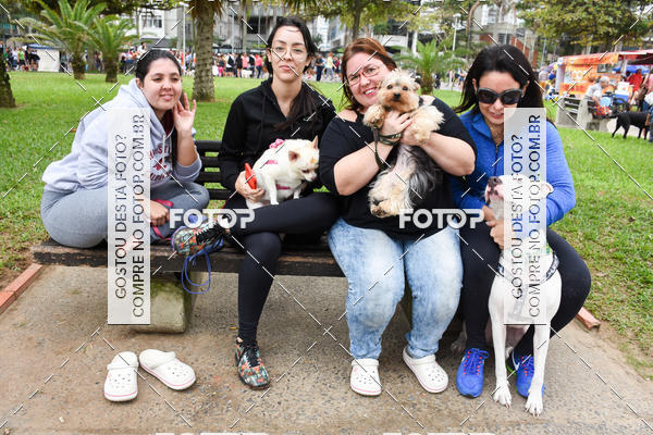 Buy your photos of the event13� C�ominhada - Santos on Fotop