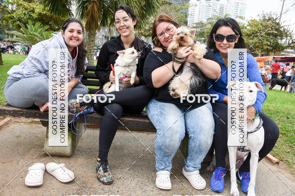 Buy your photos of the event13� C�ominhada - Santos on Fotop