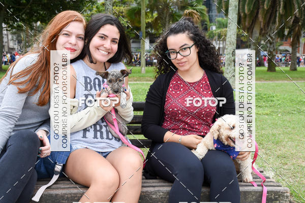 Buy your photos of the event13� C�ominhada - Santos on Fotop