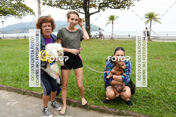 Buy your photos of the event13� C�ominhada - Santos on Fotop