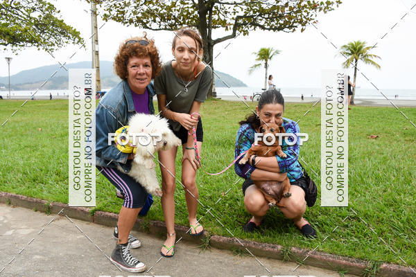 Buy your photos of the event13� C�ominhada - Santos on Fotop