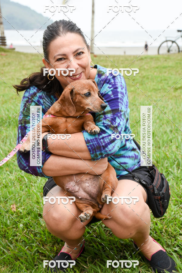 Buy your photos of the event13� C�ominhada - Santos on Fotop