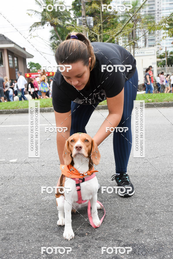 Buy your photos of the event13� C�ominhada - Santos on Fotop