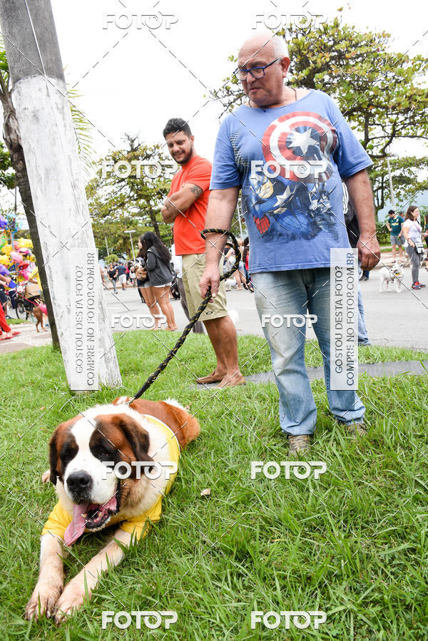 Buy your photos of the event13� C�ominhada - Santos on Fotop