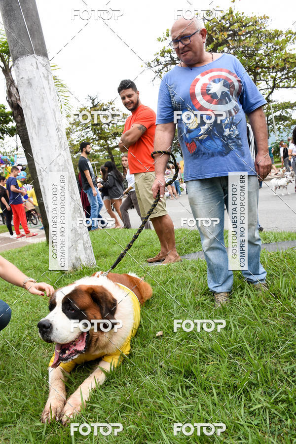 Buy your photos of the event13� C�ominhada - Santos on Fotop