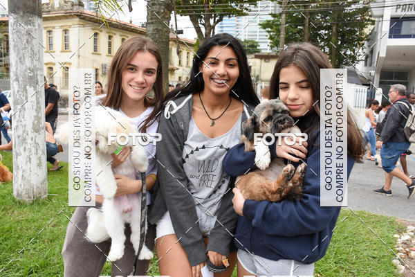 Buy your photos of the event13� C�ominhada - Santos on Fotop