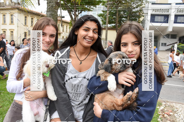 Buy your photos of the event13� C�ominhada - Santos on Fotop