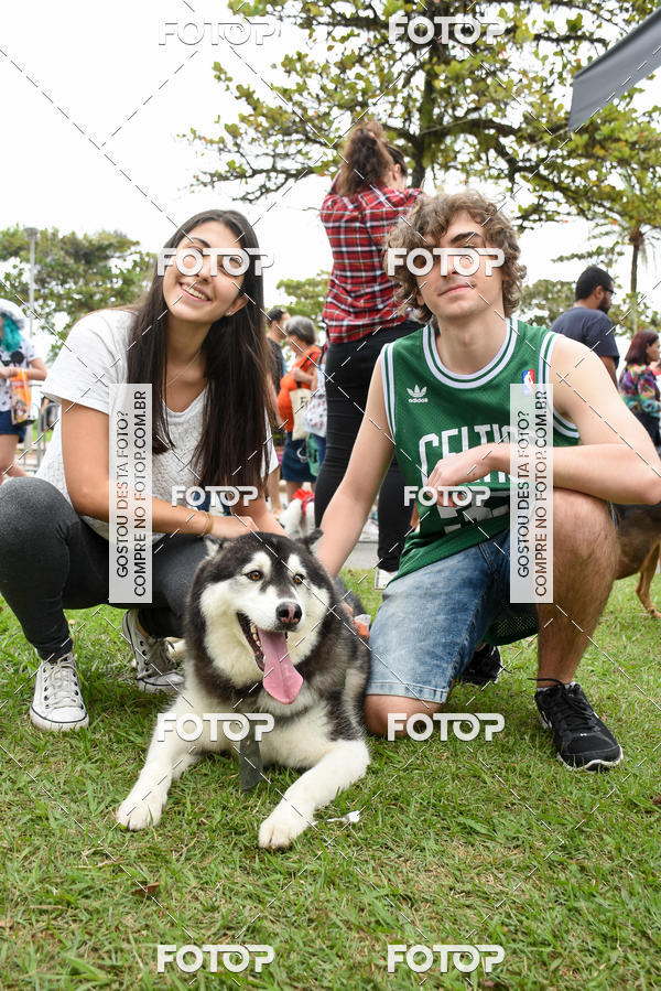 Buy your photos of the event13� C�ominhada - Santos on Fotop