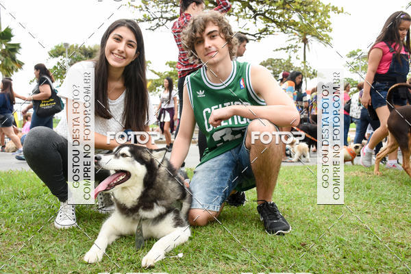 Buy your photos of the event13� C�ominhada - Santos on Fotop