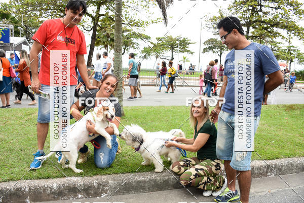Buy your photos of the event13� C�ominhada - Santos on Fotop