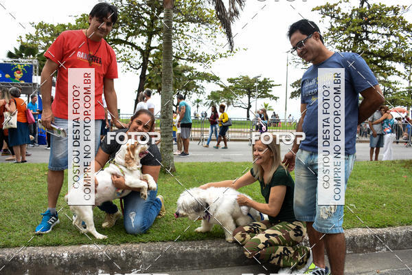 Buy your photos of the event13� C�ominhada - Santos on Fotop