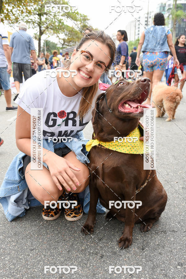 Buy your photos of the event13� C�ominhada - Santos on Fotop