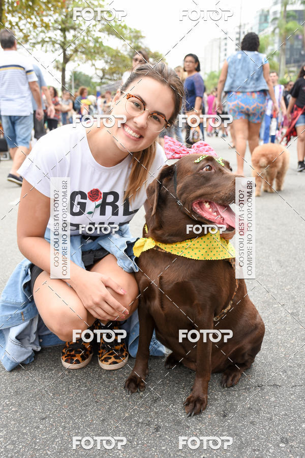 Buy your photos of the event13� C�ominhada - Santos on Fotop