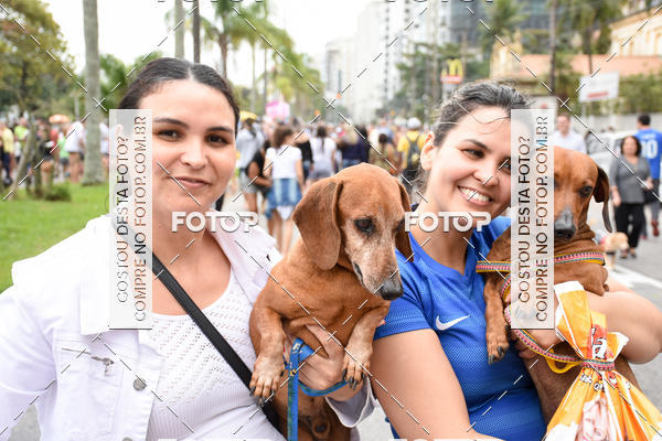 Buy your photos of the event13� C�ominhada - Santos on Fotop