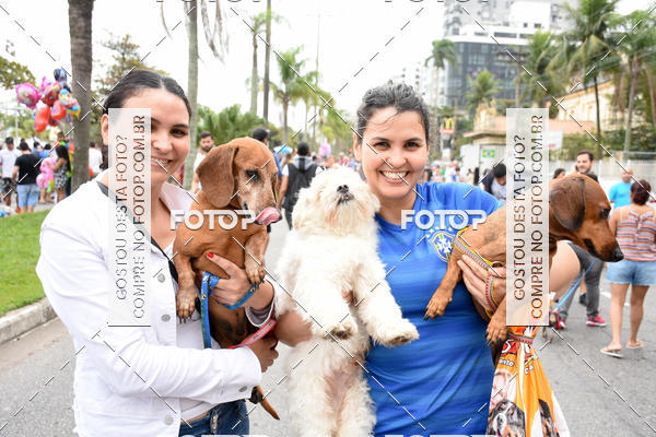 Buy your photos of the event13� C�ominhada - Santos on Fotop