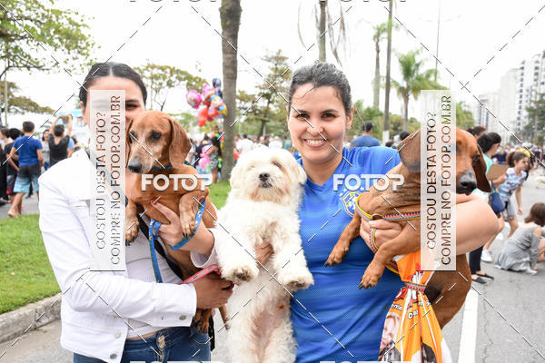 Buy your photos of the event13� C�ominhada - Santos on Fotop
