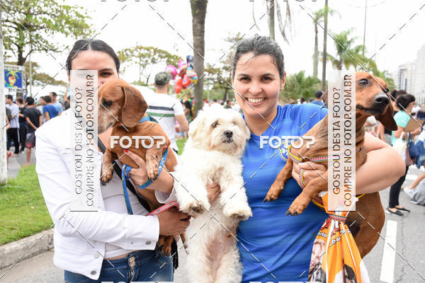 Buy your photos of the event13� C�ominhada - Santos on Fotop