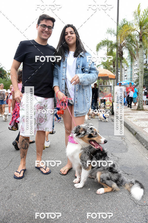 Buy your photos of the event13� C�ominhada - Santos on Fotop