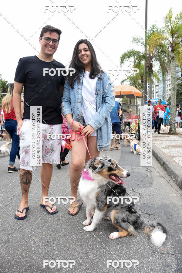 Buy your photos of the event13� C�ominhada - Santos on Fotop