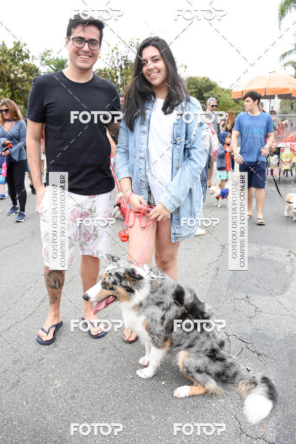 Buy your photos of the event13� C�ominhada - Santos on Fotop