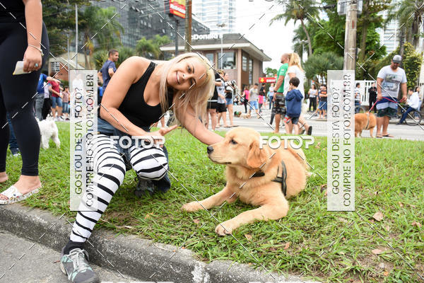 Buy your photos of the event13� C�ominhada - Santos on Fotop